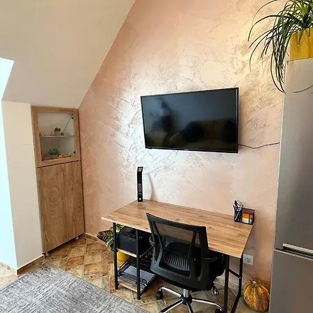 Pumpkin Spiced With Own Parking And Office Setup Sofía