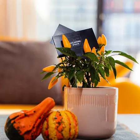 Pumpkin Spiced With Own Parking And Office Setup Apartamento Sófia