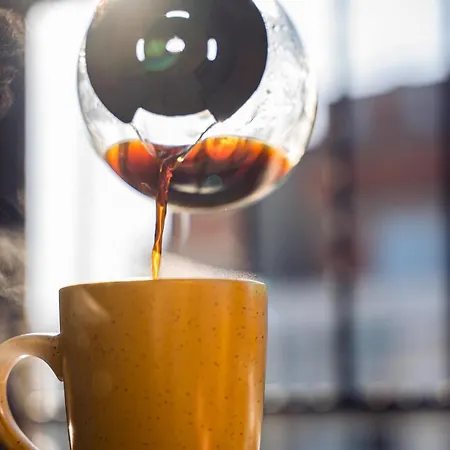 Pumpkin Spiced With Own Parking And Office Setup * Sofia