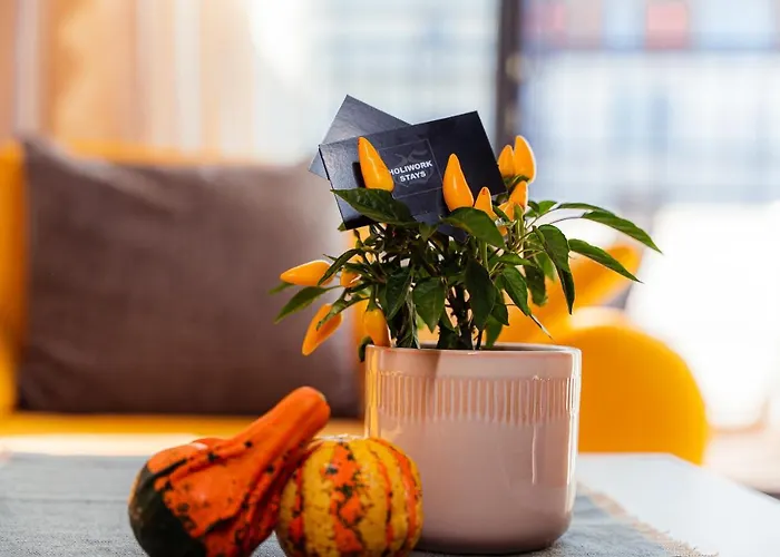 Pumpkin Spiced With Own Parking And Office Setup 公寓 索菲亞